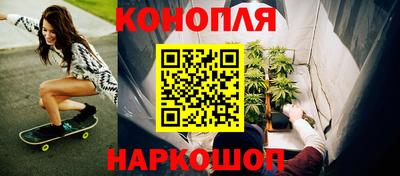 стаф Донской