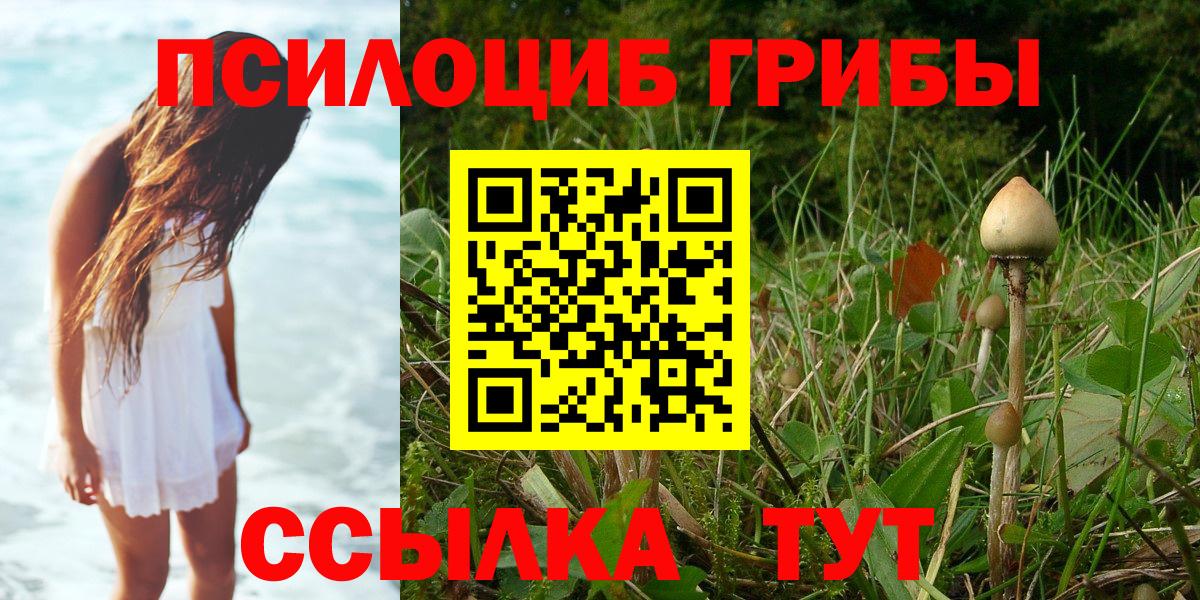 Псилоцибиновые грибы Magic Shrooms  Вход с VPN  Мариинск 